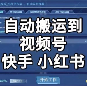 p6视频搬运软件-抖音搬砖到快手实时监控自动发布软件-创界玩